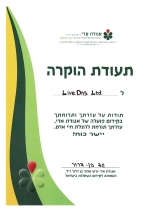 אדי