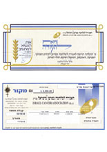 האגודה למלחמה בסרטן